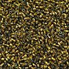 MIYUKI Delica Beads SEED-X0054-DB0604-3