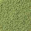 TOHO Round Seed Beads X-SEED-TR11-0946F-2
