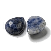 Natural Blue Spot Jasper Cabochons G-Q173-02C-18-2