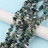 Natural Moss Agate Beads Strands G-G0003-B24-2