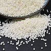 MIYUKI Delica Beads SEED-X0054-DB0352-4