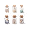 6Pcs Natural Lapis Lazuli/Amethyst/Carnelian/Citrine/Rose Quartz/ Amazonite Chip & Cowrie Shell Beads Healing Crystals Wishing Bottles PALLOY-JF03788-2