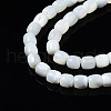 Natural Trochid Shell/Trochus Shell Beads Strands X-SSHEL-N034-121-B01-3