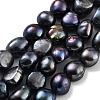 Dyed Natural Cultured Freshwater Pearl Beads Strands PEAR-P062-30D-2