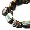 Natural Abalone Shell/Paua Shell Beads Strands BSHE-D300-01A-3