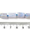 Natural Blue Lace Agate Beads Strands G-F509-63-01-5
