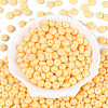 Opaque Baking Paint Glass Seed Beads SEED-N008-03A-03-2