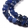 Natural Sodalite Beads Strands X-G-C009-A07-4