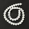 Natural Trochid Shell/Trochus Shell Beads Strands SHEL-F003-08A-5