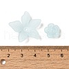Frosted Transparent Acrylic Beads OACR-U006-03F-3