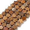 Natural Picture Jasper Beads Strands G-B138-C09-01-2