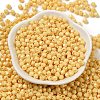 Baking Painted Glass Seed Beads SEED-C004-01G-2