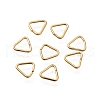 304 Stainless Steel Adjuster Triangle Buckles STAS-F311-11G-01-1