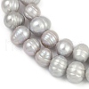 Natural Cultured Freshwater Pearl Beads Strands PEAR-I007-07J-05C-4