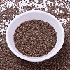 MIYUKI Delica Beads X-SEED-J020-DB0340-2