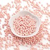 Baking Paint Glass Seed Beads SEED-A032-02P-2