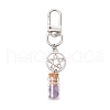 7 Chakra Natural Lapis Lazuli & Amazonite & Amethyst & Citrine & Green Aventurine & Rose Quartz & Red Aventurine Chips inside Glass Wishing Bottles Pendant Decorations HJEW-JM03152-4