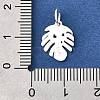 925 Sterling Silver Pendants STER-F059-09S-02-3
