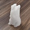 Rabbit DIY Silicone Rabbit Ornaments Molds SIMO-R010-03C-1