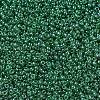 MIYUKI Round Rocailles Beads SEED-G007-RR0173-1