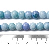 Opaque Glass Beads Strands GLAA-T031-01O-02-5