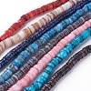 Shell Beads Strands SSHEL-E571-49-1