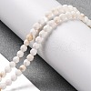 Natural Howlite Beads Strands G-C025-02B-09-2