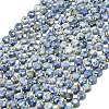 Natural Blue Spot Jasper Beads Strands G-C116-A73-02-2