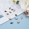 12Pcs 2 Styles Natural Abalone Shell/Paua Shell Copper Wire Wrapped Connector Charms PALLOY-AB00261-4