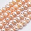 Natural Cultured Freshwater Pearl Beads Strands PEAR-F007-48-01-2