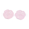 Frosted Transparent Acrylic Beads OACR-P029-19B-05-3