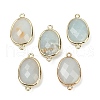 Natural Amazonite Faceted Connector Charms G-K347-11G-18-1