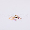 Brass Micro Pave Cubic Zirconia Hoop Earrings WGF8540-02-1