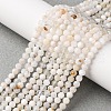Natural Rainbow Moonstone Beads Strands G-G161-A01-03A-2