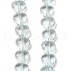 Baking Paint Transparent Glass Beads Strands DGLA-A08-T8mm-KD05-1