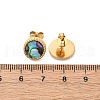 304 Stainless Steel Natural Paua Shell Stud Earrings EJEW-Z103-02G-01-5