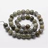 Natural Labradorite Bead Strands G-O155-05B-6mm-2