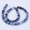 Natural Sodalite Beads Strands G-Q462-10mm-07-2