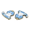 Alloy Enamel Pendants FIND-C037-20G-07-2