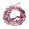 Natural Plum Blossom Tourmaline Beads Strands G-G991-B02-02-5