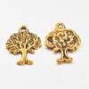 Tibetan Style Alloy Pendants GLF10394Y-2