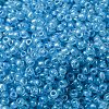 Glass Seed Beads SEED-XCP0001-31-3