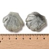 Natural Labradorite Carved Healing Shell Figurines G-K353-03G-3