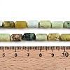 Natural Serpentine Beads Strands G-N346-01B-04-5