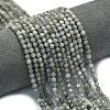 Natural Labradorite Beads Strands G-A260-A44-01B-1