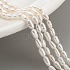Natural Cultured Freshwater Pearl Beads Strands PEAR-P062-02C-1