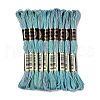 10 Skeins 6-Ply Polyester Embroidery Floss OCOR-K006-A30-1