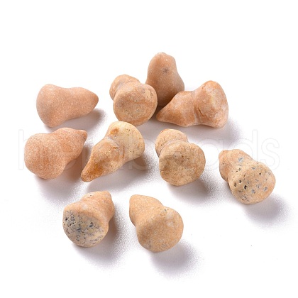 Natural Picture Jasper Beads G-M379-22-1