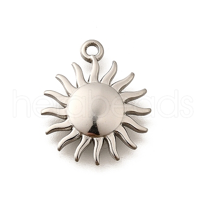 304 Stainless Steel Pendants STAS-C122-02P-1