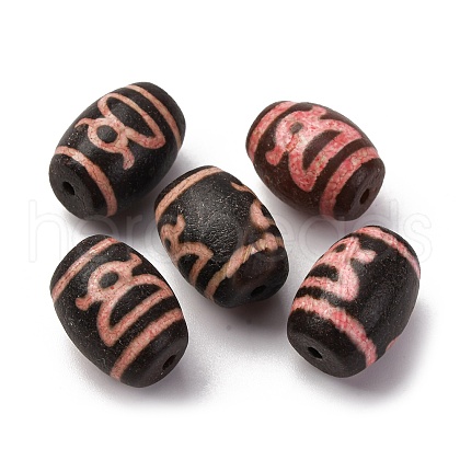 Tibetan Style dZi Beads TDZI-NH0001-E02-04B-1
